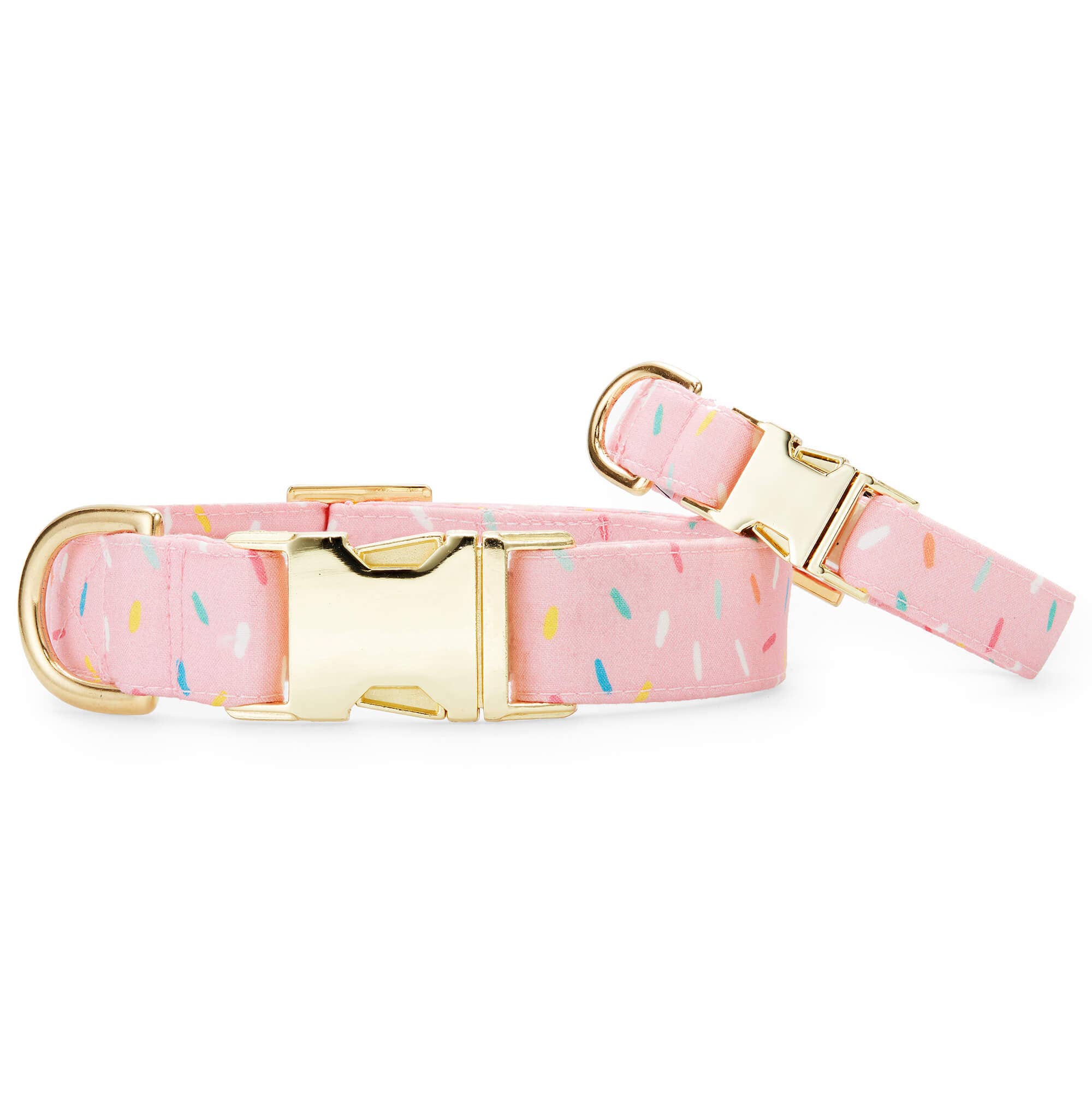 Sprinkles Birthday Dog Collar: Medium / Gold