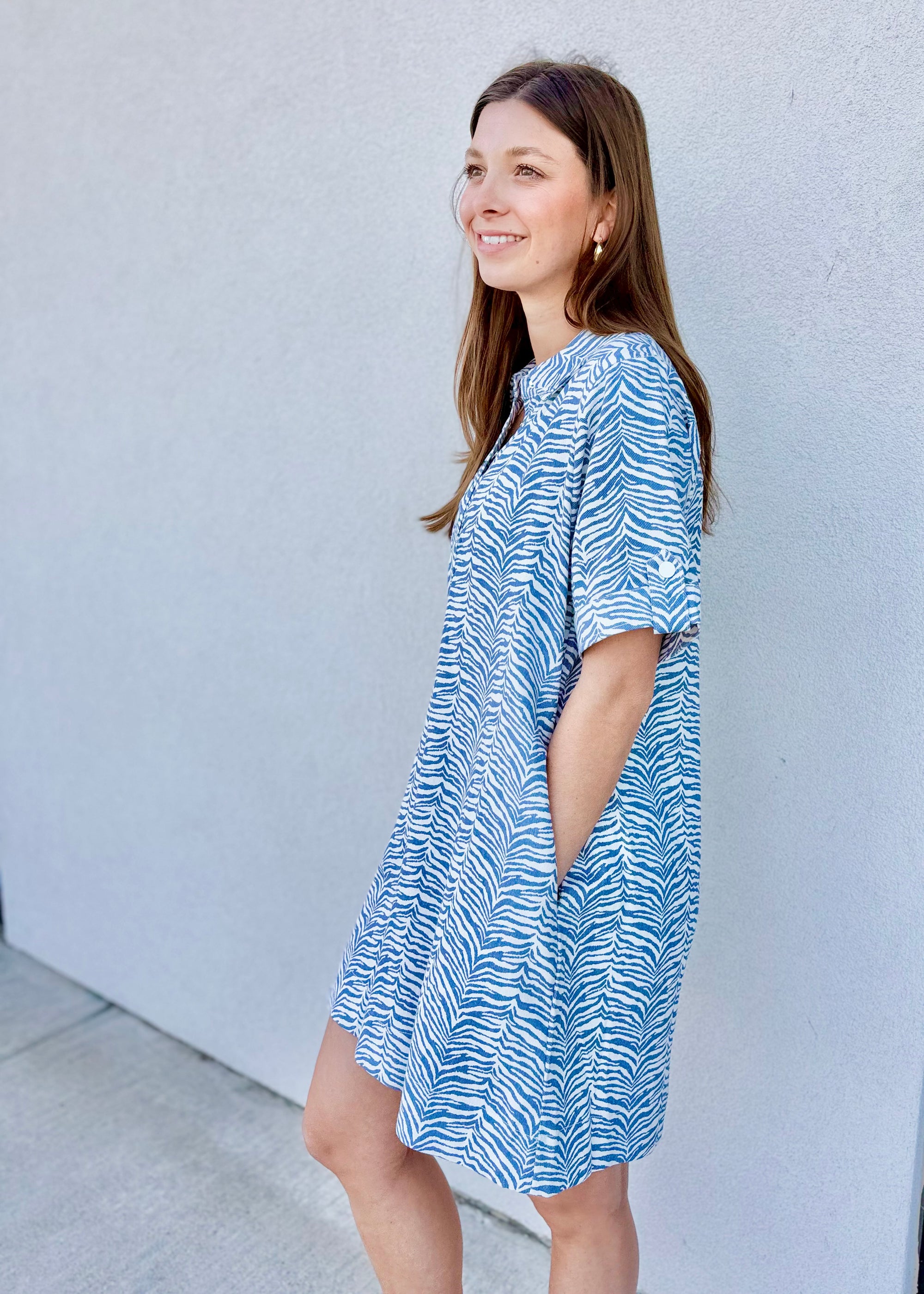 Wild About Blue Dress